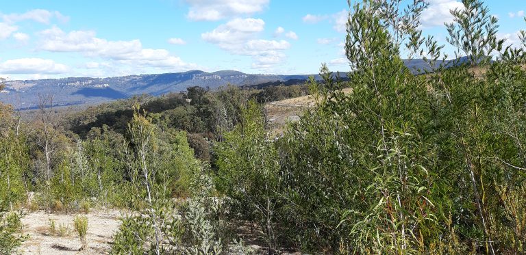 Biodiversity Management Plan in Australia